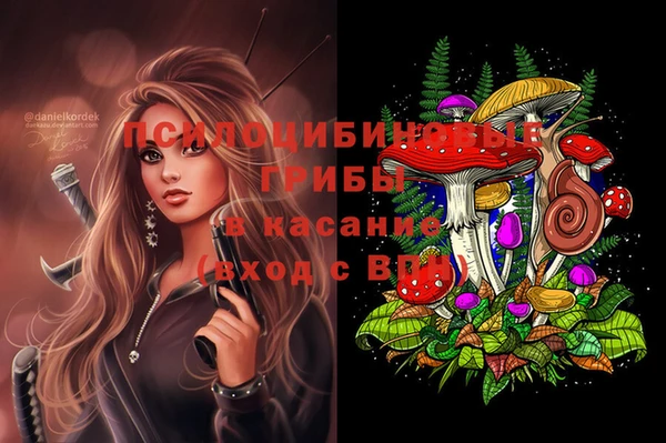 прущие грибы Волоколамск