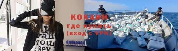 прущие грибы Волоколамск