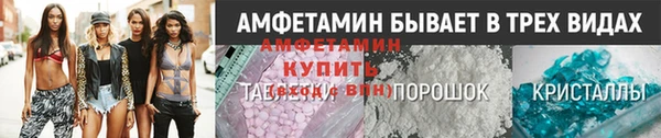 прущие грибы Волоколамск