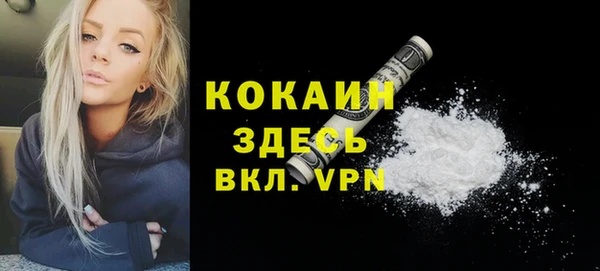 прущие грибы Волоколамск