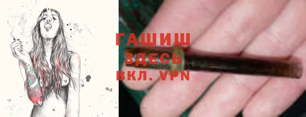 прущие грибы Волоколамск
