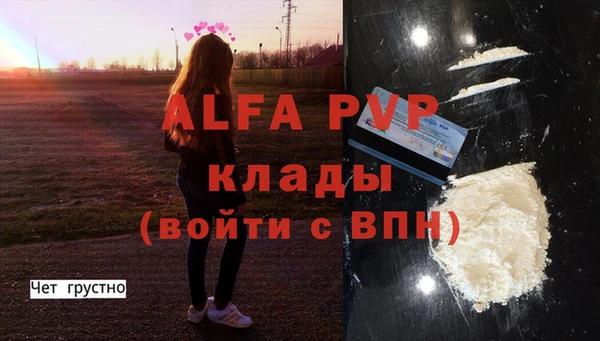 прущие грибы Волоколамск