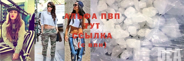 прущие грибы Волоколамск