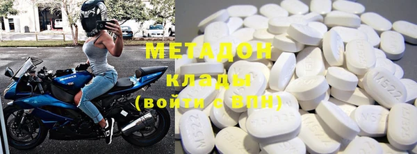 прущие грибы Волоколамск