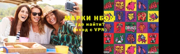 прущие грибы Волоколамск
