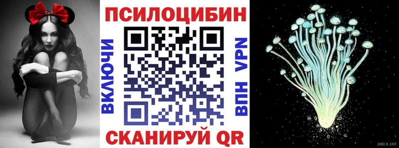 цена наркотик  МЕГА tor  Псилоцибиновые грибы Cubensis  Королёв 